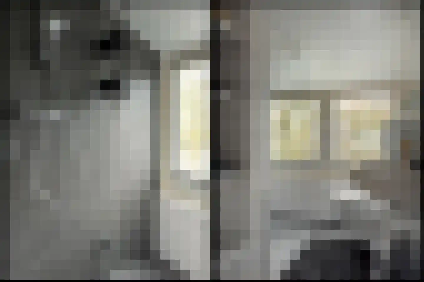 Lytse Mar 38 RECR Idskenhuizen thumbnail 5