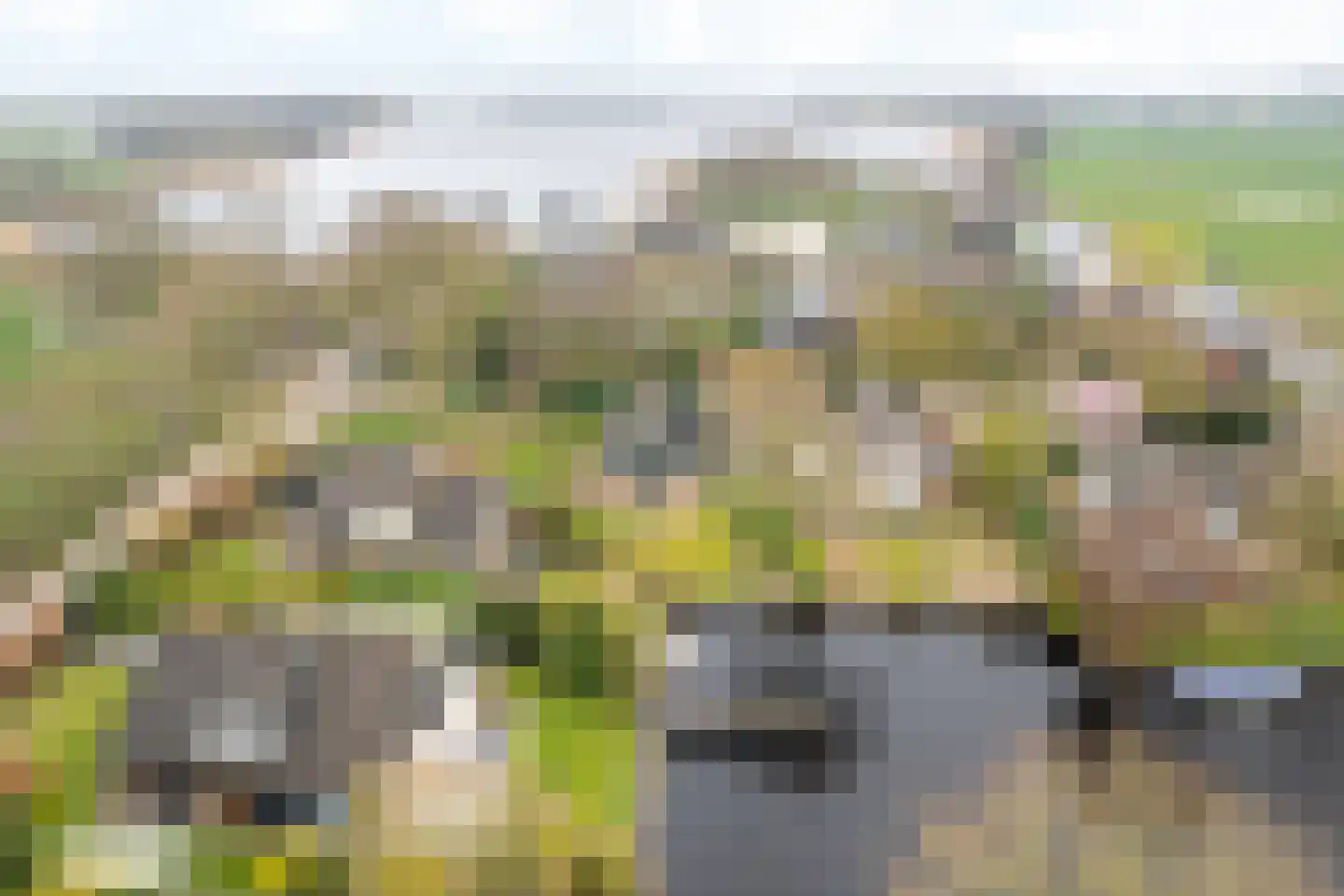 Lytse Mar 38 RECR Idskenhuizen thumbnail 6
