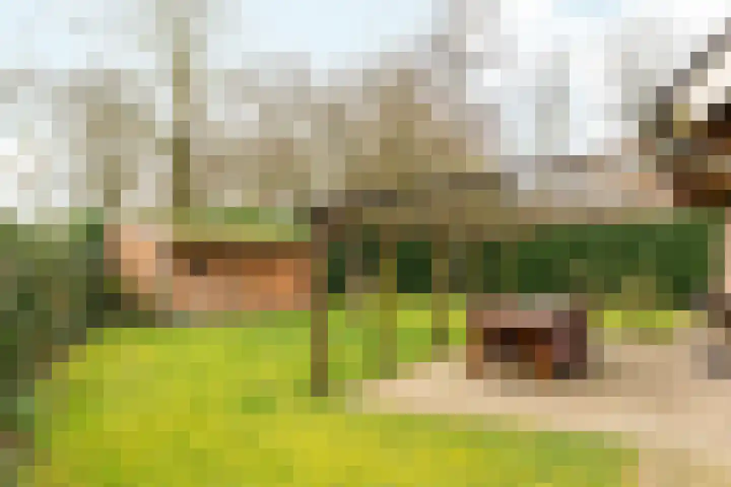 Lytse Mar 38 RECR Idskenhuizen thumbnail 8