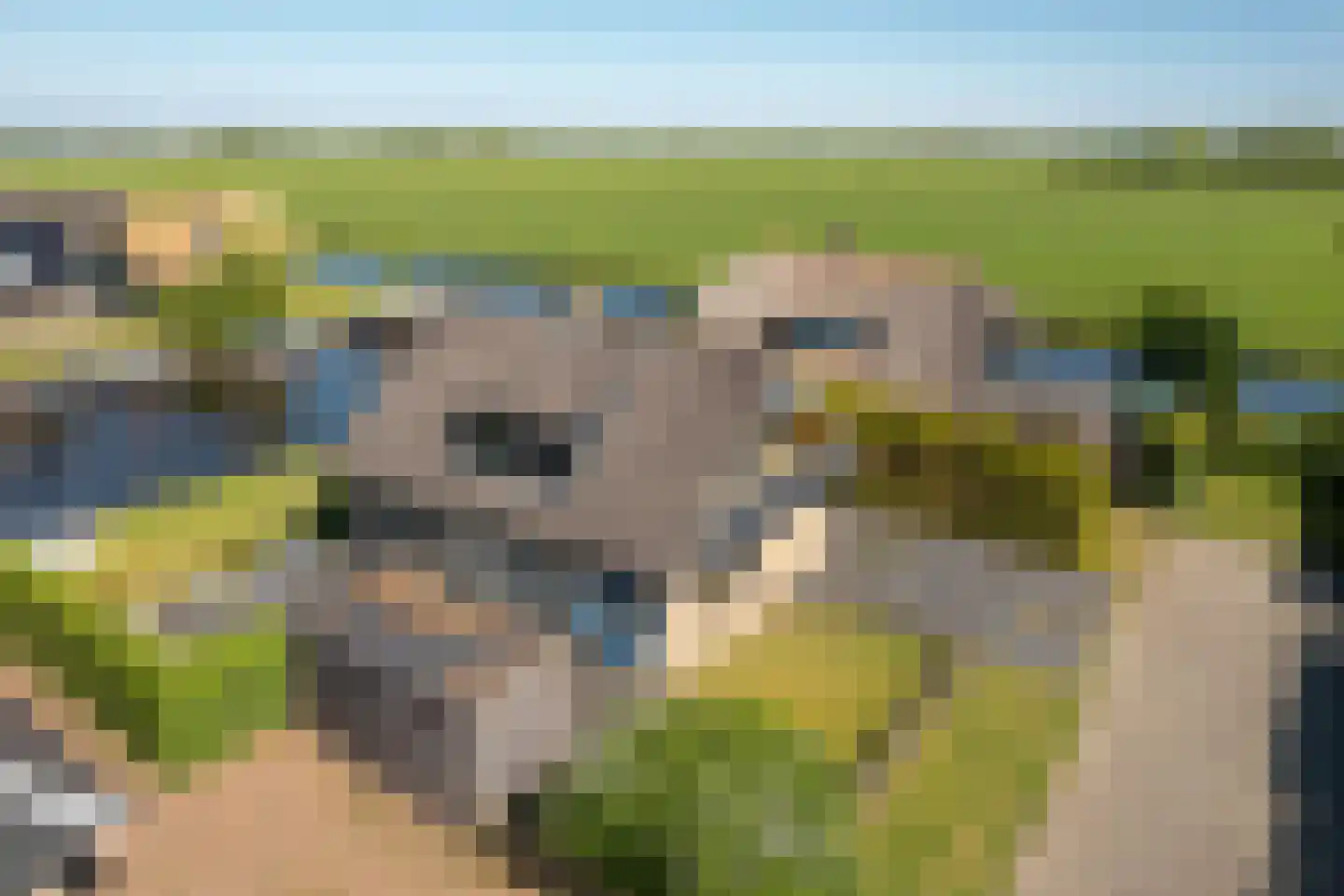 Lytse Mar 4 Idskenhuizen thumbnail 32