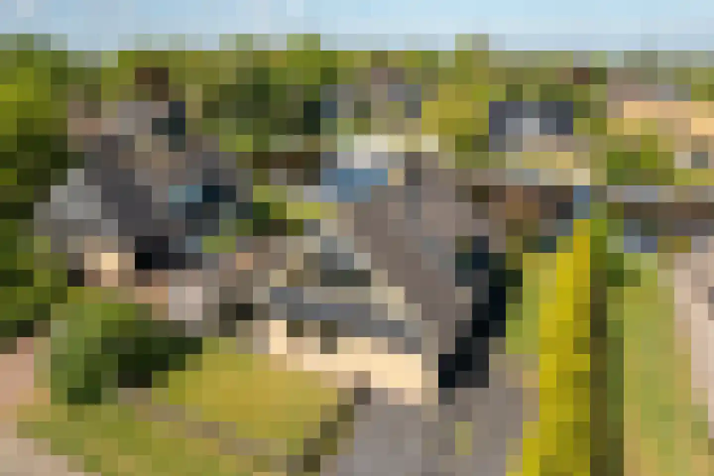 Lytse Mar 4 Idskenhuizen thumbnail 33