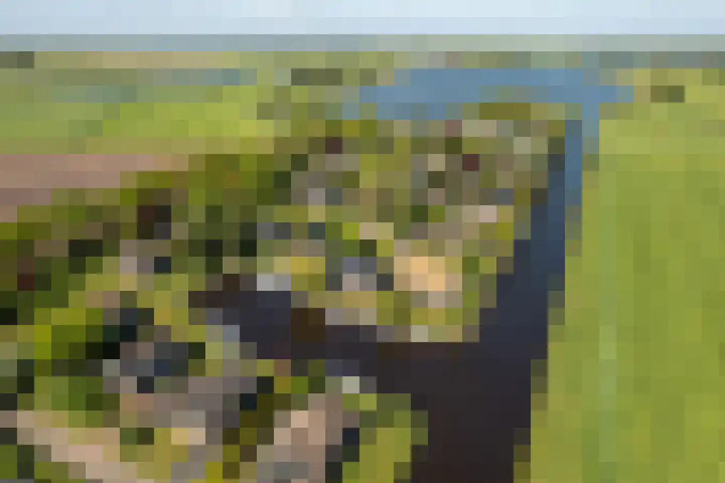 Lytse Mar 4 Idskenhuizen thumbnail 35
