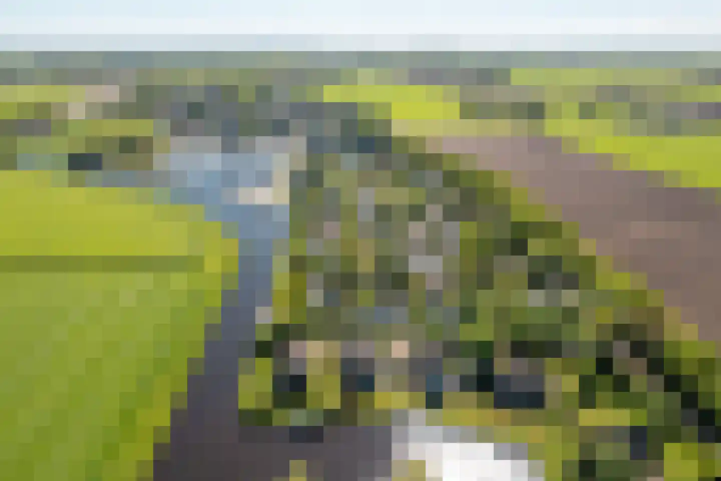 Lytse Mar 4 Idskenhuizen thumbnail 36