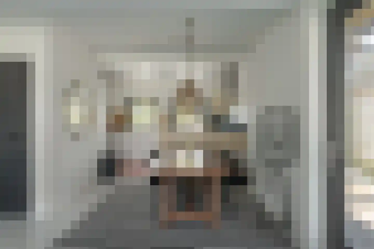 Lytse Mar 4 Idskenhuizen thumbnail 9