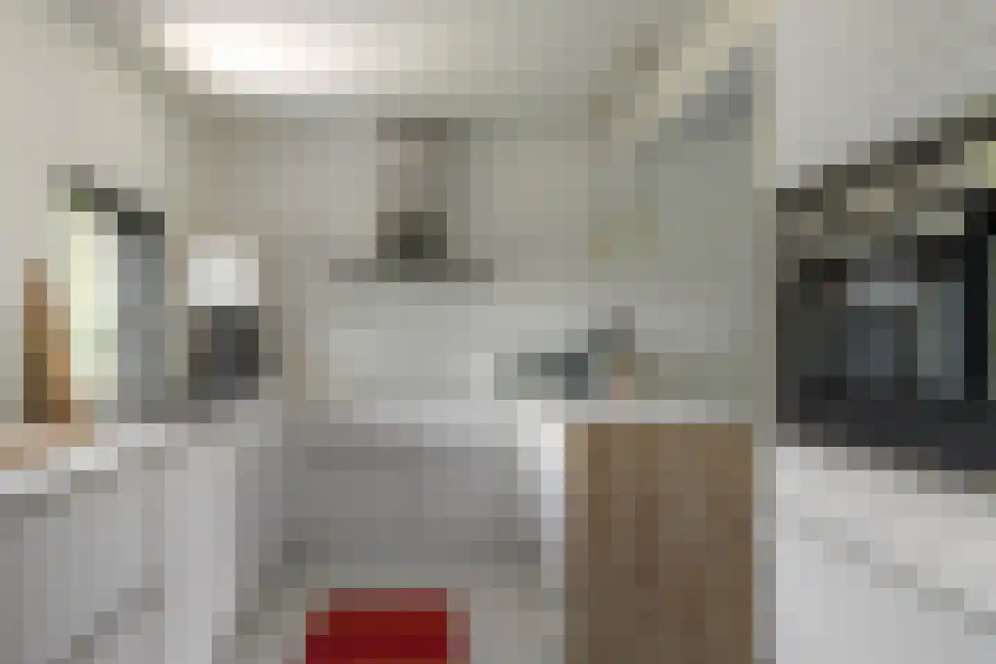 Lytse Mar 4 RECR Idskenhuizen thumbnail 12