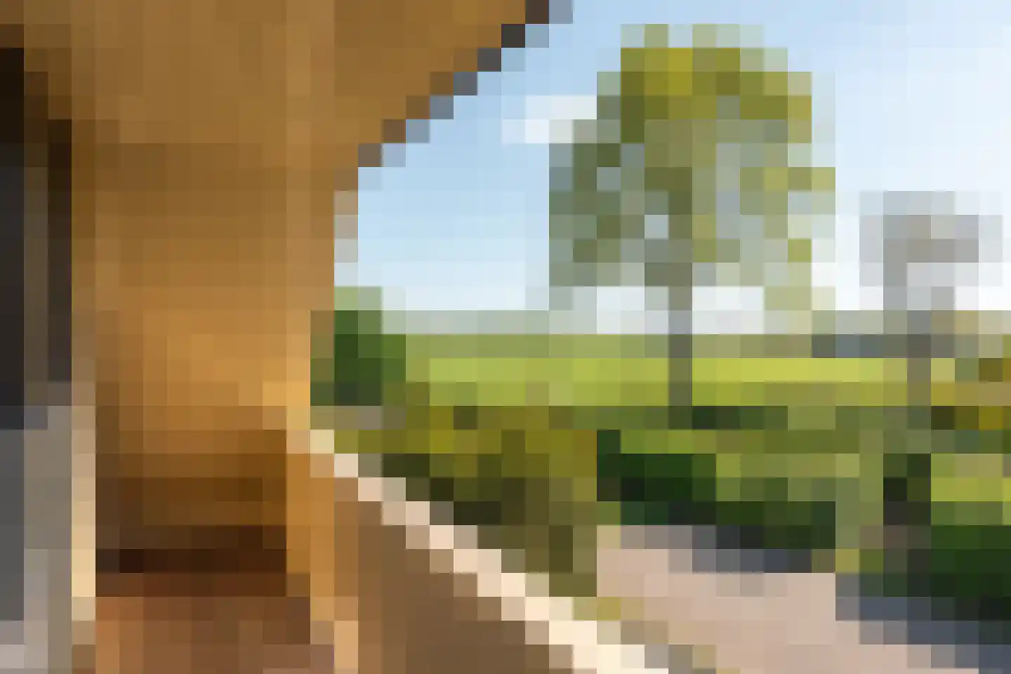 Lytse Mar 4 RECR Idskenhuizen thumbnail 21