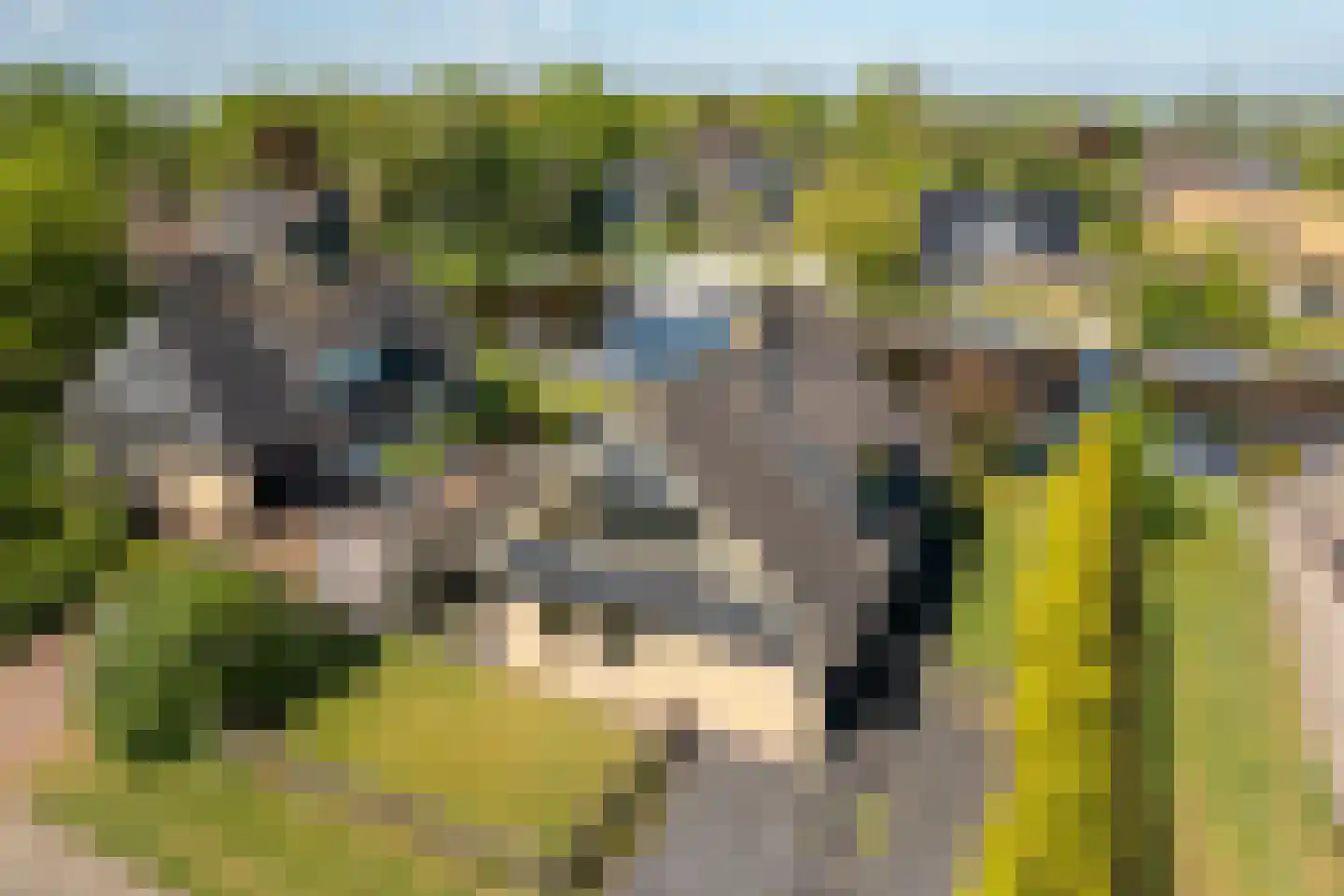 Lytse Mar 4 RECR Idskenhuizen thumbnail 33