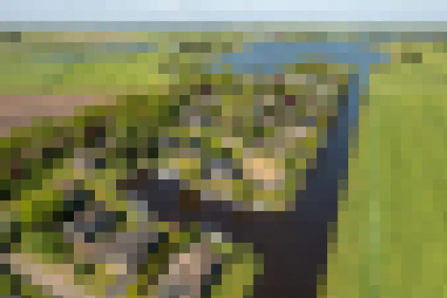 Lytse Mar 4 RECR Idskenhuizen thumbnail 35