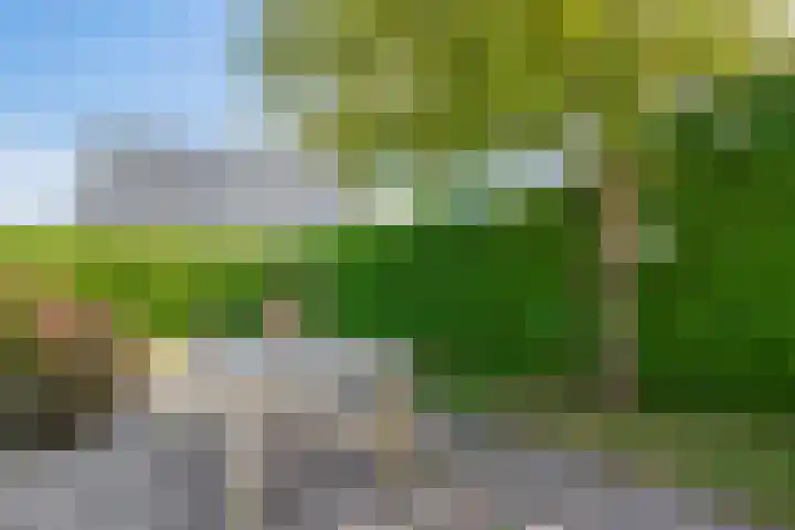 Lytse Side 13 Balk thumbnail 40