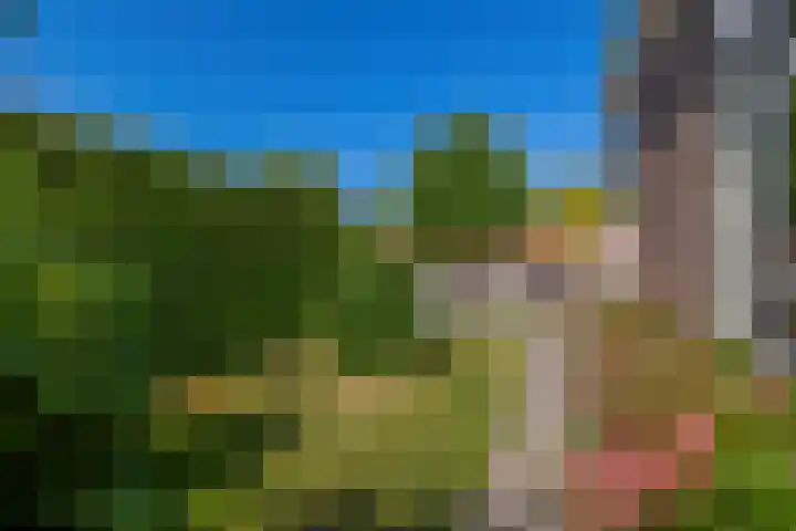 Lytse Side 13 Balk thumbnail 42
