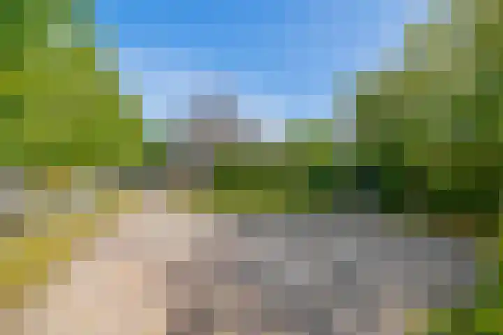 Lytse Side 13 Balk thumbnail 5
