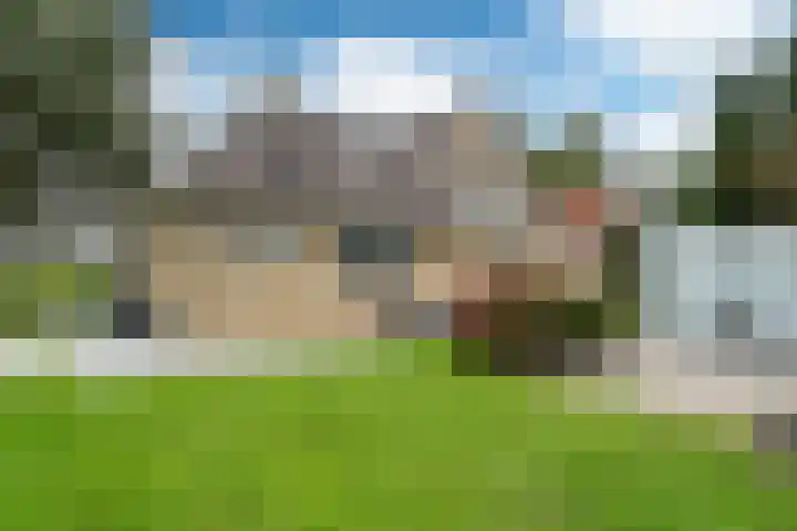 Lytse Streek 13 Winsum thumbnail 10