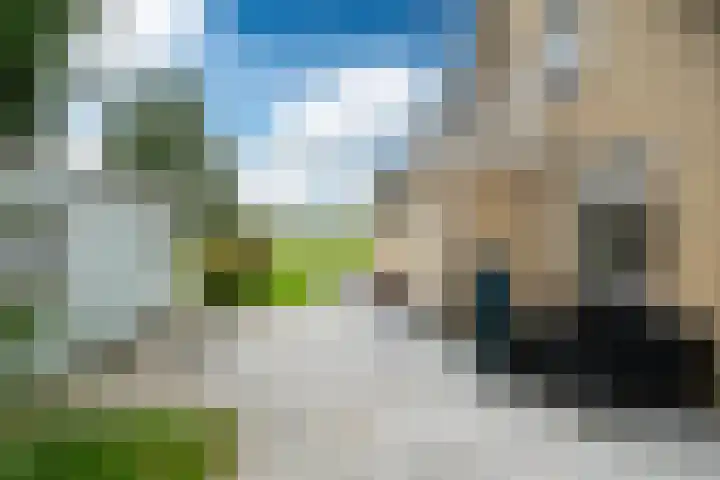 Lytse Streek 13 Winsum thumbnail 11