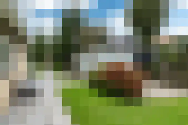 Lytse Streek 13 Winsum thumbnail 12