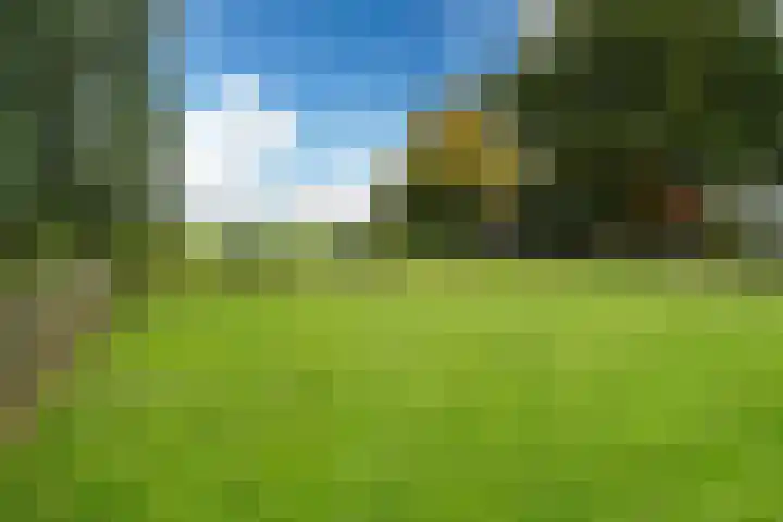 Lytse Streek 13 Winsum thumbnail 13