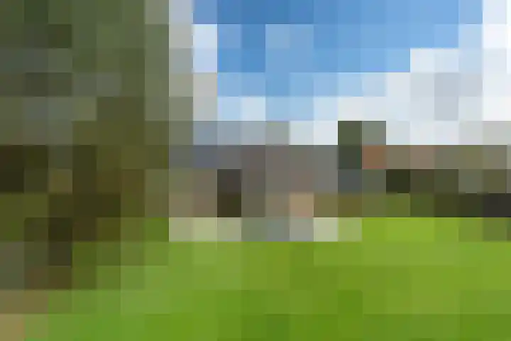 Lytse Streek 13 Winsum thumbnail 14
