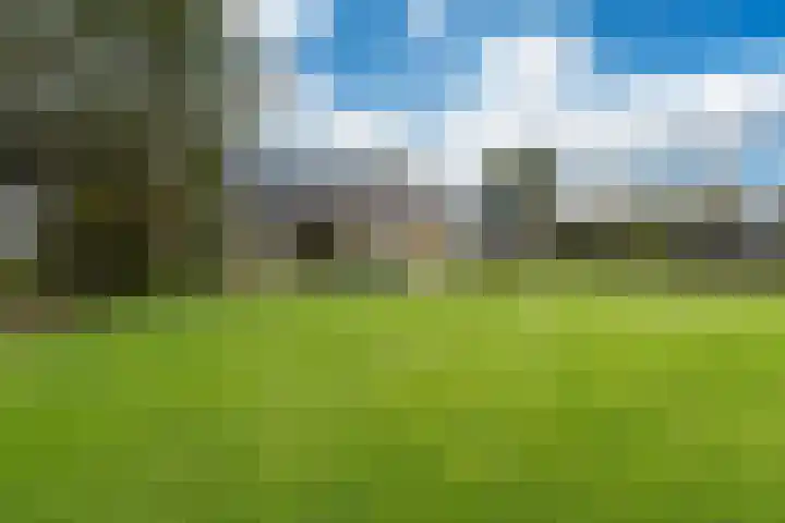 Lytse Streek 13 Winsum thumbnail 15