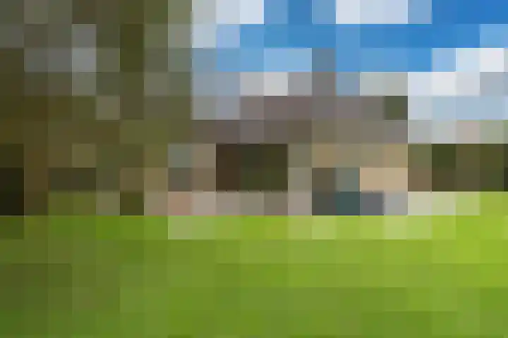 Lytse Streek 13 Winsum thumbnail 16