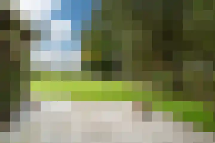 Lytse Streek 13 Winsum thumbnail 17