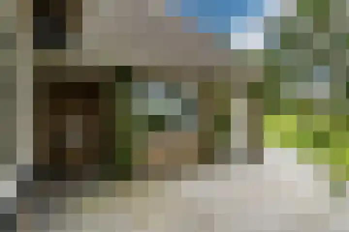Lytse Streek 13 Winsum thumbnail 18
