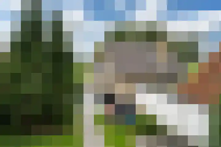 Lytse Streek 13 Winsum thumbnail 20