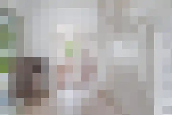 Lytse Streek 13 Winsum thumbnail 27