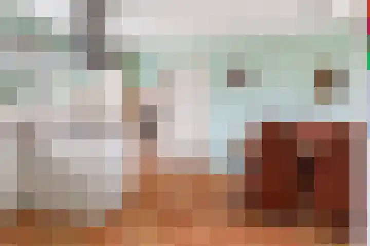 Lytse Streek 13 Winsum thumbnail 28