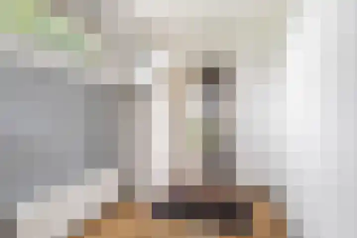 Lytse Streek 13 Winsum thumbnail 33