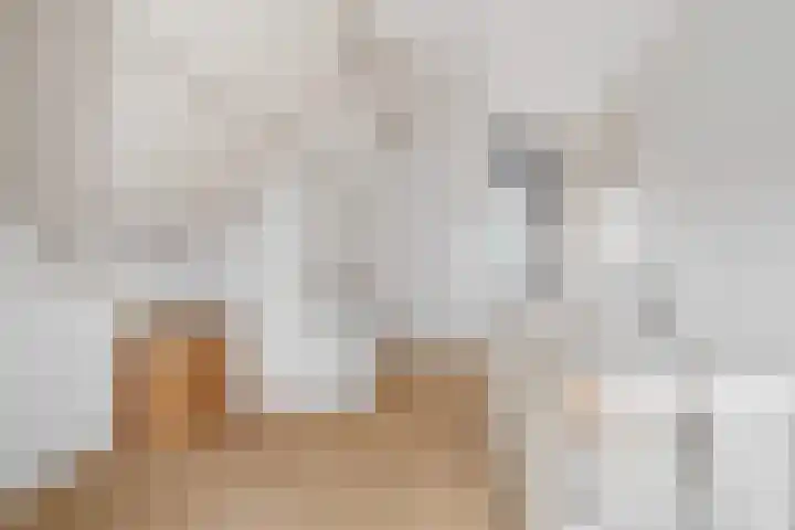 Lytse Streek 13 Winsum thumbnail 36