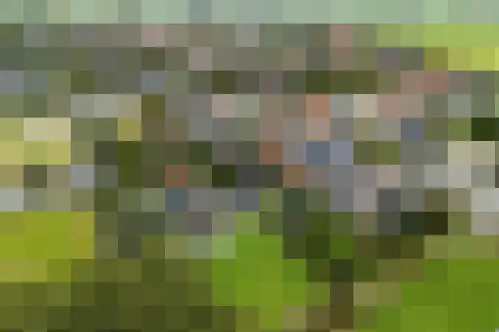 Lytse Streek 13 Winsum thumbnail 4