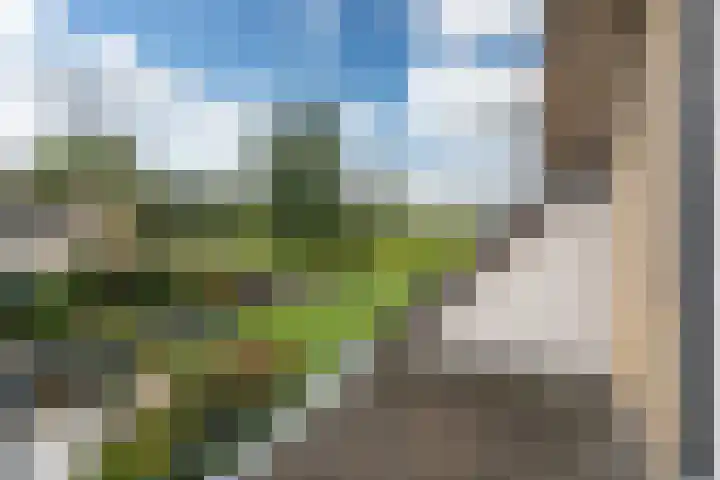 Lytse Streek 13 Winsum thumbnail 44