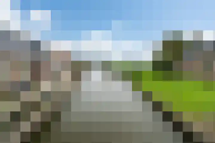 Lytse Streek 13 Winsum thumbnail 48