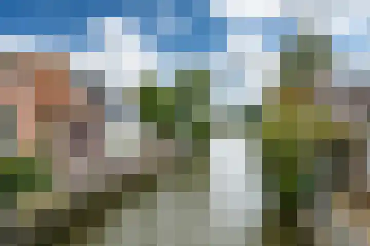 Lytse Streek 13 Winsum thumbnail 49