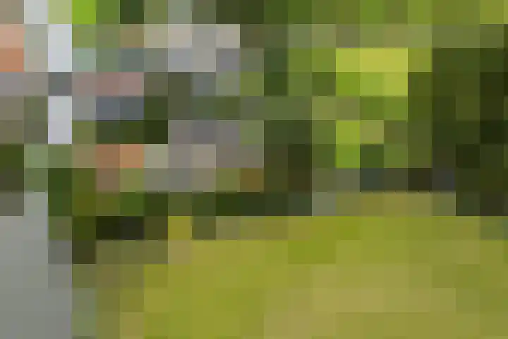 Lytse Streek 13 Winsum thumbnail 51