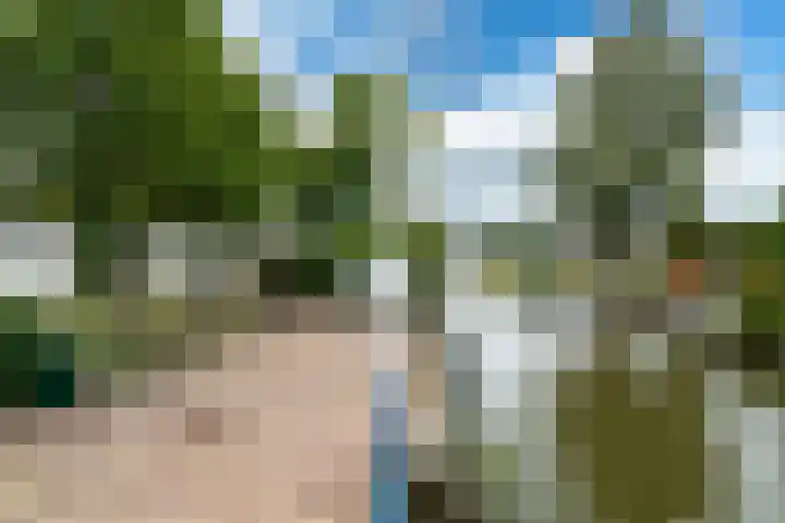 Lytse Streek 13 Winsum thumbnail 6