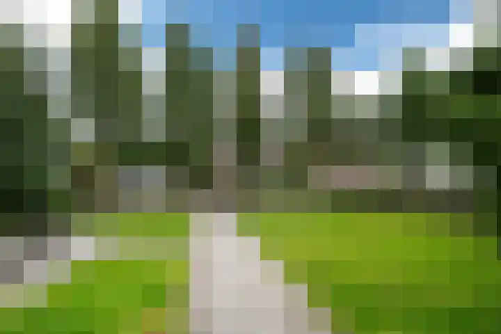 Lytse Streek 13 Winsum thumbnail 7