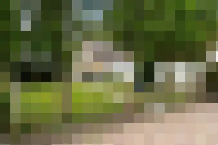 Lytse Streek 13 Winsum thumbnail 8