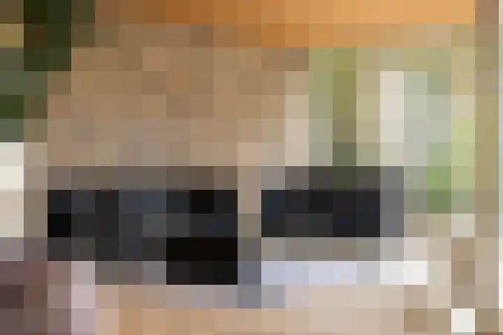 Lytse Súdein 57 Uitwellingerga thumbnail 21