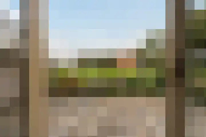 Lytse Súdein 57 Uitwellingerga thumbnail 33