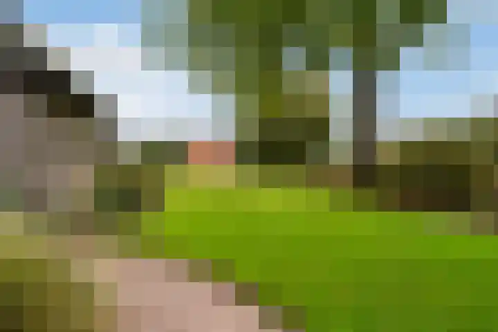 Lytse Súdein 57 Uitwellingerga thumbnail 34