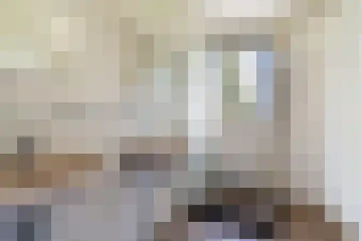 Lytse Súdein 57 Uitwellingerga thumbnail 35
