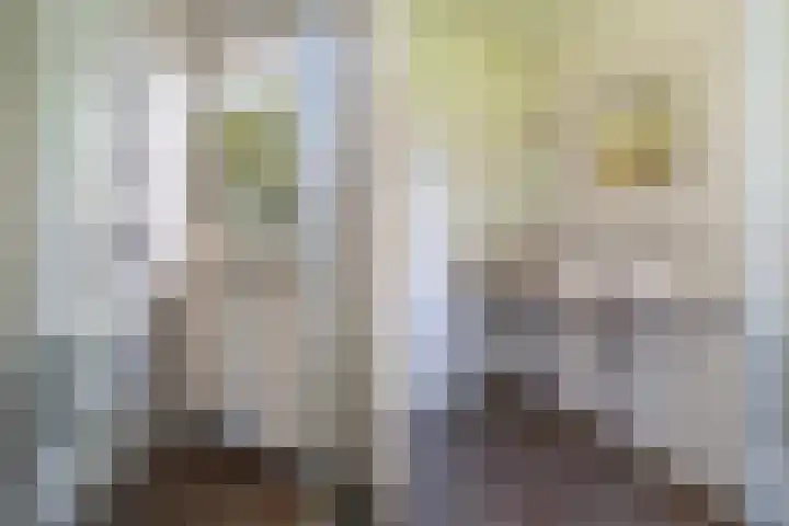 Lytse Súdein 57 Uitwellingerga thumbnail 36