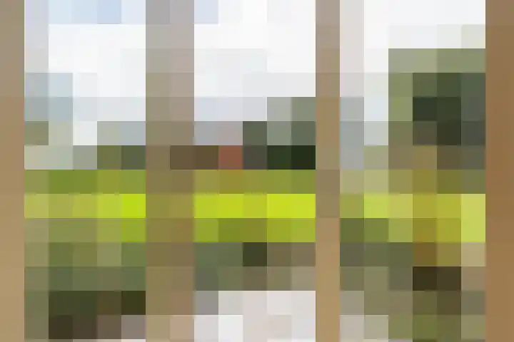 Lytse Súdein 57 Uitwellingerga thumbnail 38