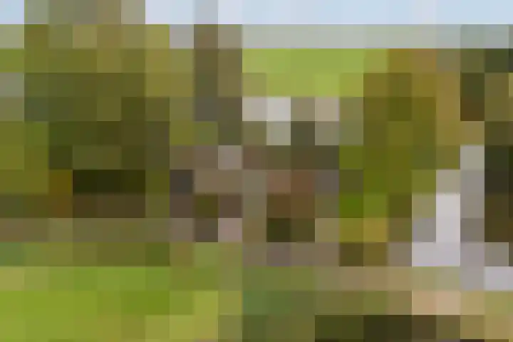 Lytse Súdein 57 Uitwellingerga thumbnail 5