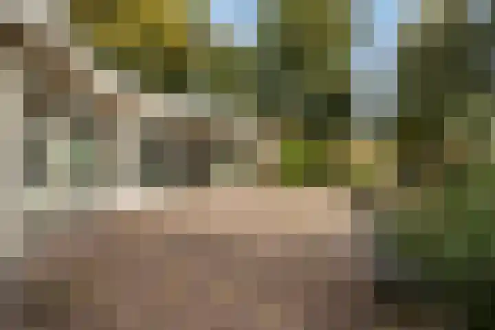 Lytse Súdein 57 Uitwellingerga thumbnail 56
