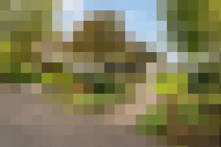 Lytse Súdein 57 Uitwellingerga thumbnail 59