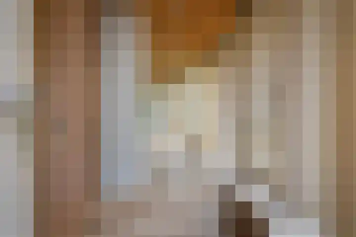 Lytse Súdein 57 Uitwellingerga thumbnail 6