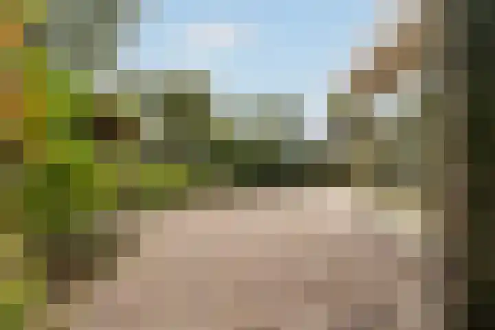 Lytse Súdein 57 Uitwellingerga thumbnail 60