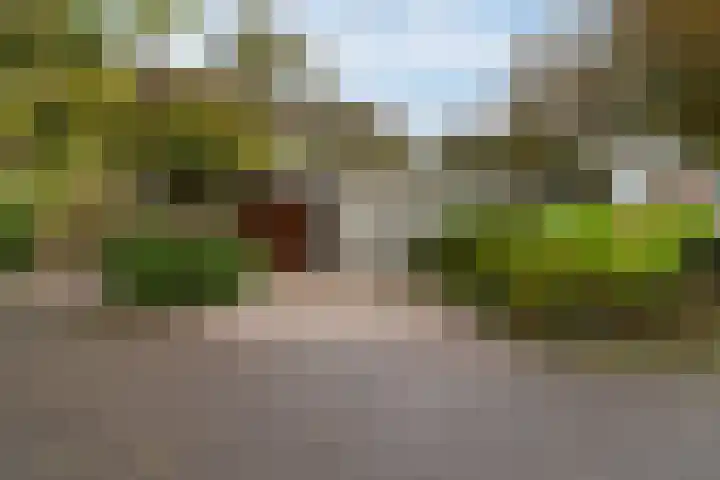 Lytse Súdein 57 Uitwellingerga thumbnail 61