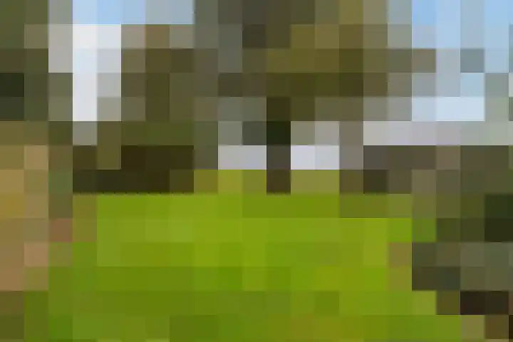 Lytse Súdein 57 Uitwellingerga thumbnail 62